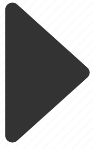 caret right icon